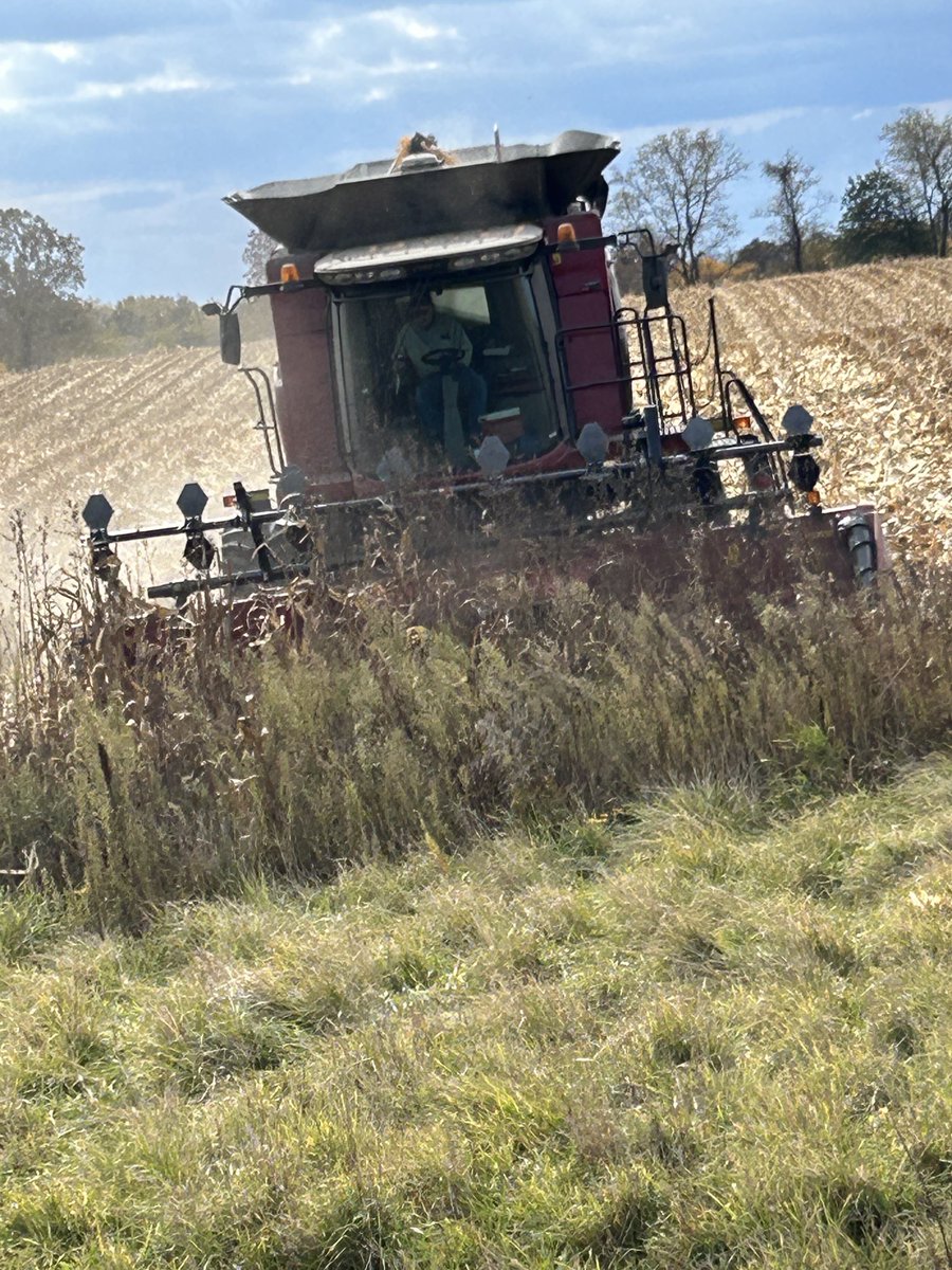 And that As they say is that! Corn 23