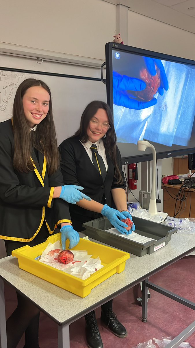 @LarkyScience tweet media