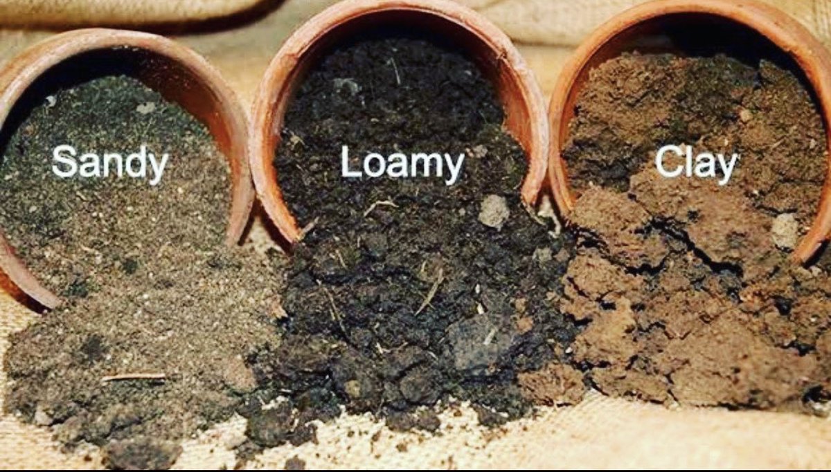 EnyonamManye's tweet photo. Make sure that your crops match the soil type in your farm or garden. By matching your crop choice to your soil type, you are essentially customizing the environment to suit the needs of your plants.
#soiltype #soil #crops #farming #agriculture #agribusiness #farm https://t.co/dY1qSTiQ0j