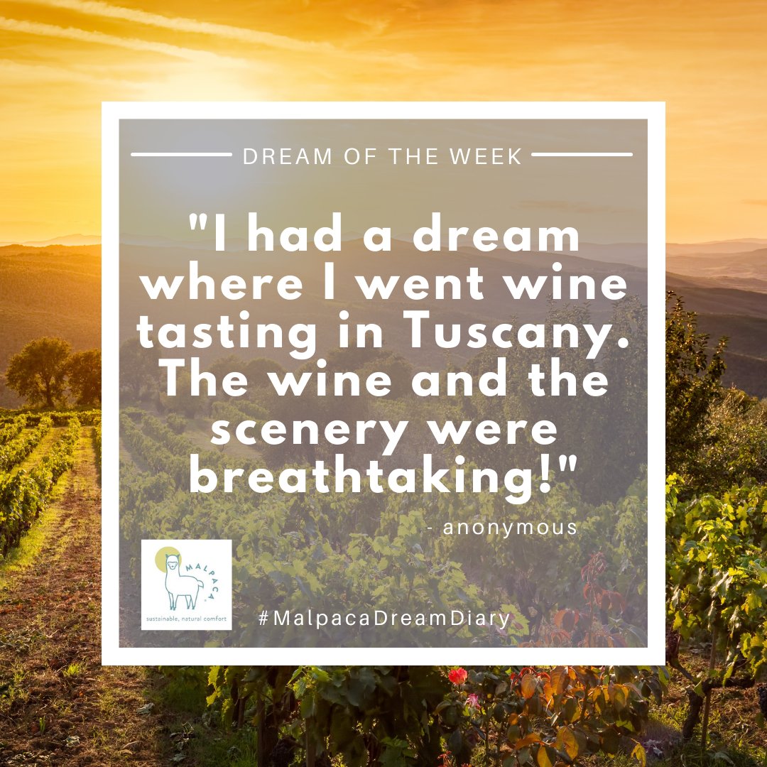 Embarking on a dreamy adventure! 🍇🍷 In this week's dream, we found ourselves sipping wine in the rolling hills of Tuscany. The taste of adventure mixed with the finest wines. 🌄🥂 What's your dream travel destination?

#DreamDiary #MalpacaDreamDiary #Tuscany #WineAdventures