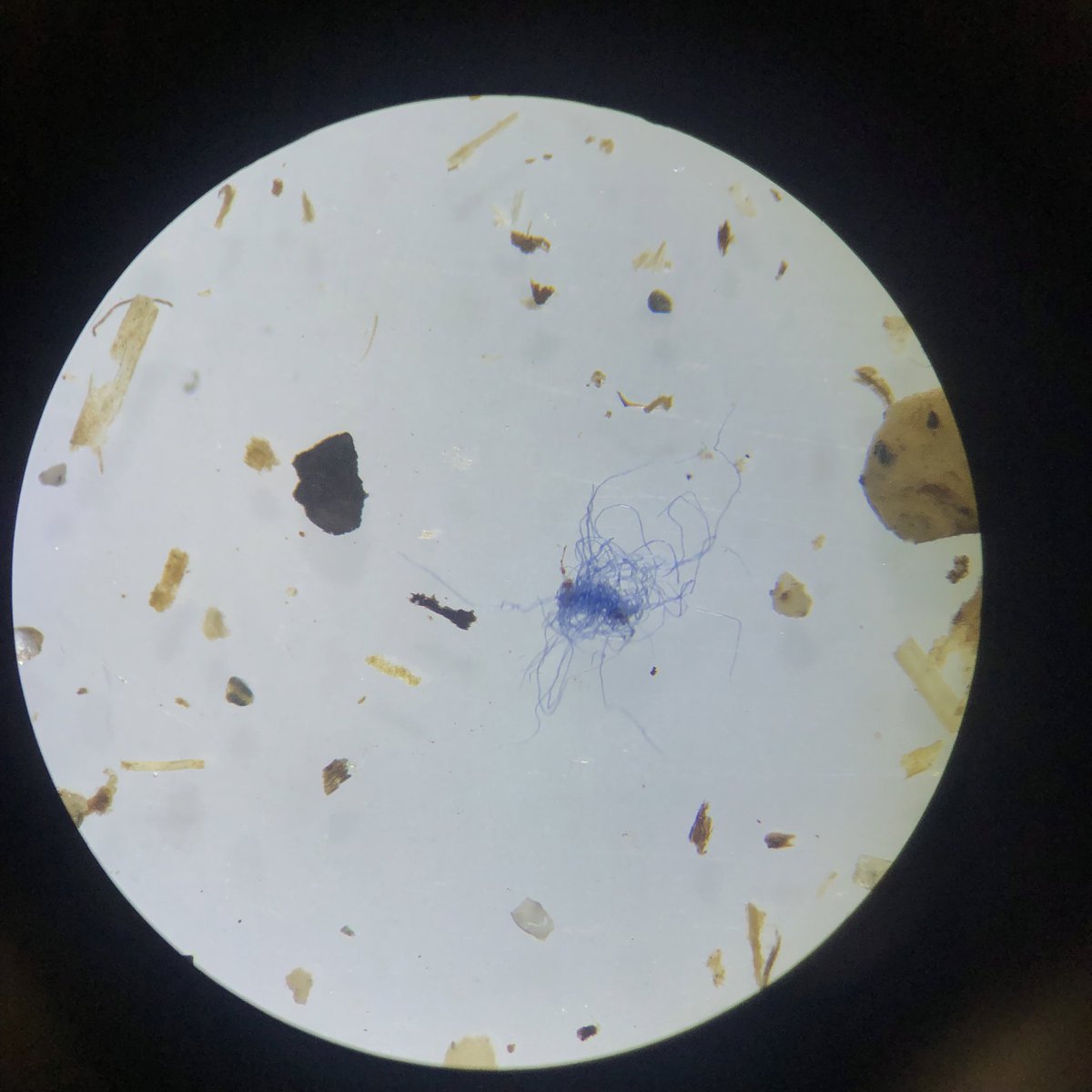 Incluso en los ríos más limpios encontramos #microplásticos. La contaminación por plástico es una crisis global.