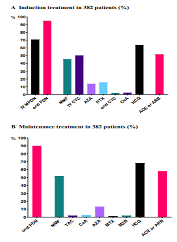 X2J Let’s look at the graphical representation of induction and maintenance therapy in these 382 patients