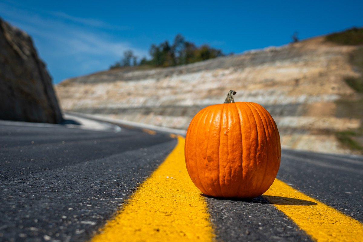 mtnparkway's tweet photo. How did the pumpkin cross the road? With a crossing gourd. 🎃 

#ParkwayPumpkins #HappyHalloween #MtnParkway

@KYTC https://t.co/3beWkPfIRI
