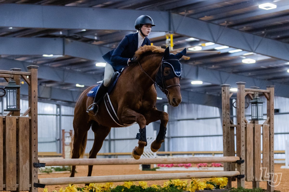 Exploring LU's Diverse Club Sports Scene: Uniting 40+ Dynamic Programs! 🏆 Get in on the action as we rally behind our incredible student-athletes! ⛸️🏂🏊‍♂️🏇 @LU_ClubSports