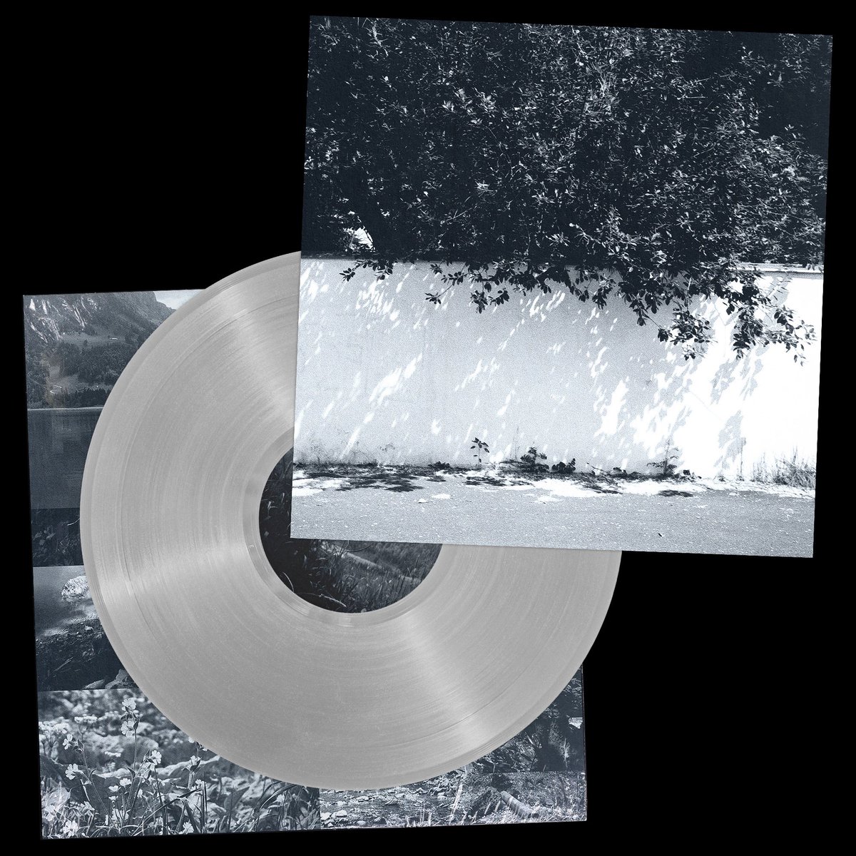 Reece Thomas tweet media