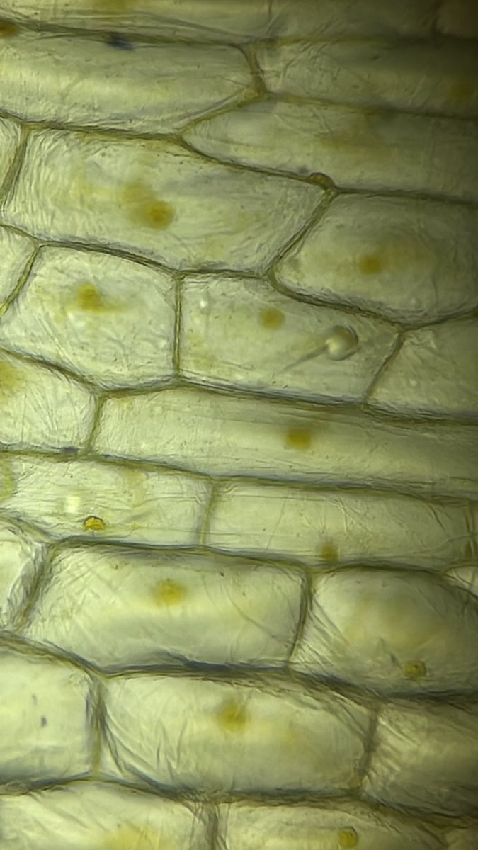 @LarkyScience tweet media