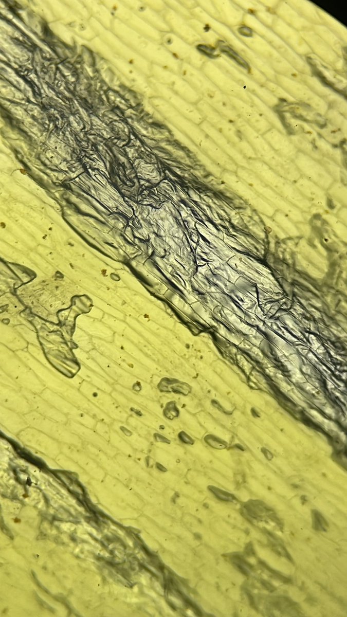 @LarkyScience tweet media