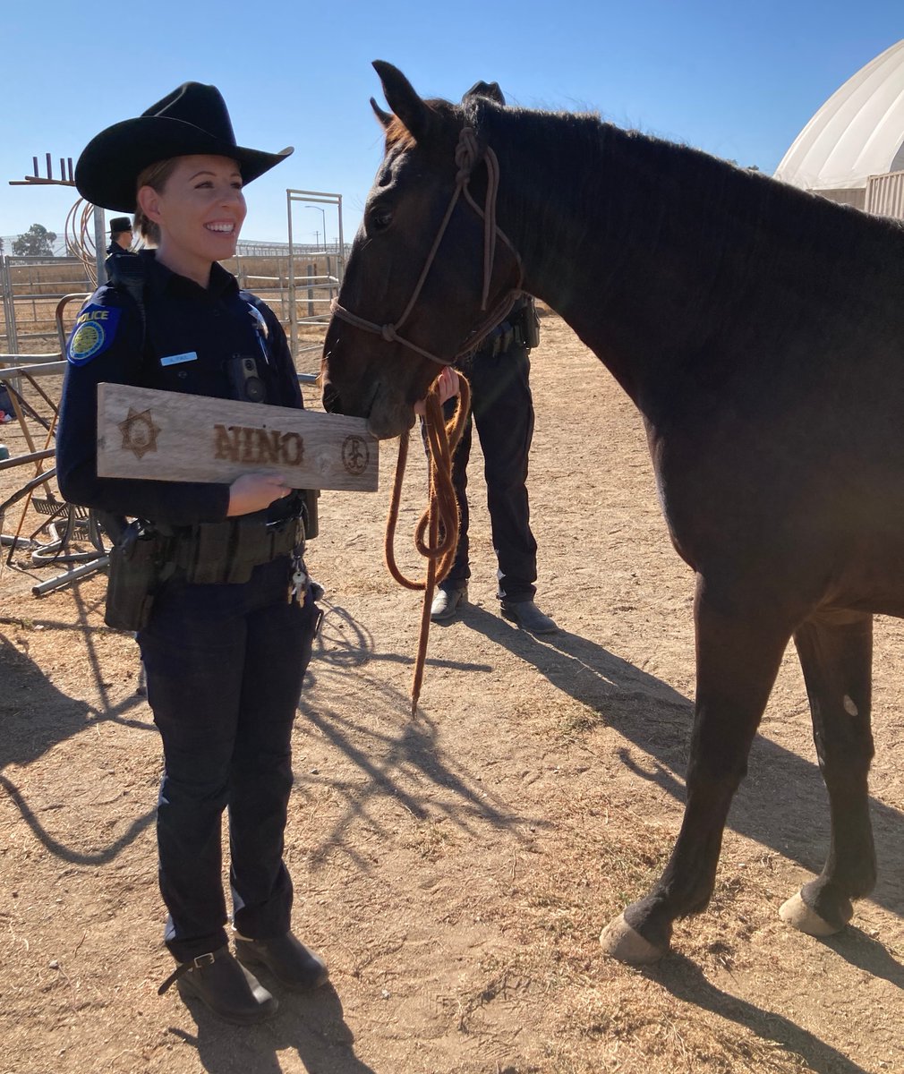Mount up! 🐎Recently, @SacPolice adopted 2 geldings from our R3C program, Niño & Buddy, to add to their mounted unit. 🎉Congrats and many thanks for your continued support of our Wild Horse and Burro program! To learn more about this program: ow.ly/QS1B50Q0hvP @blmwhb