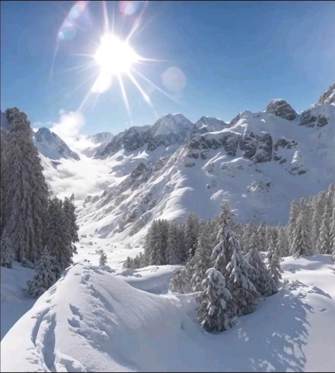 AngeaLLacio Twitch tweet media