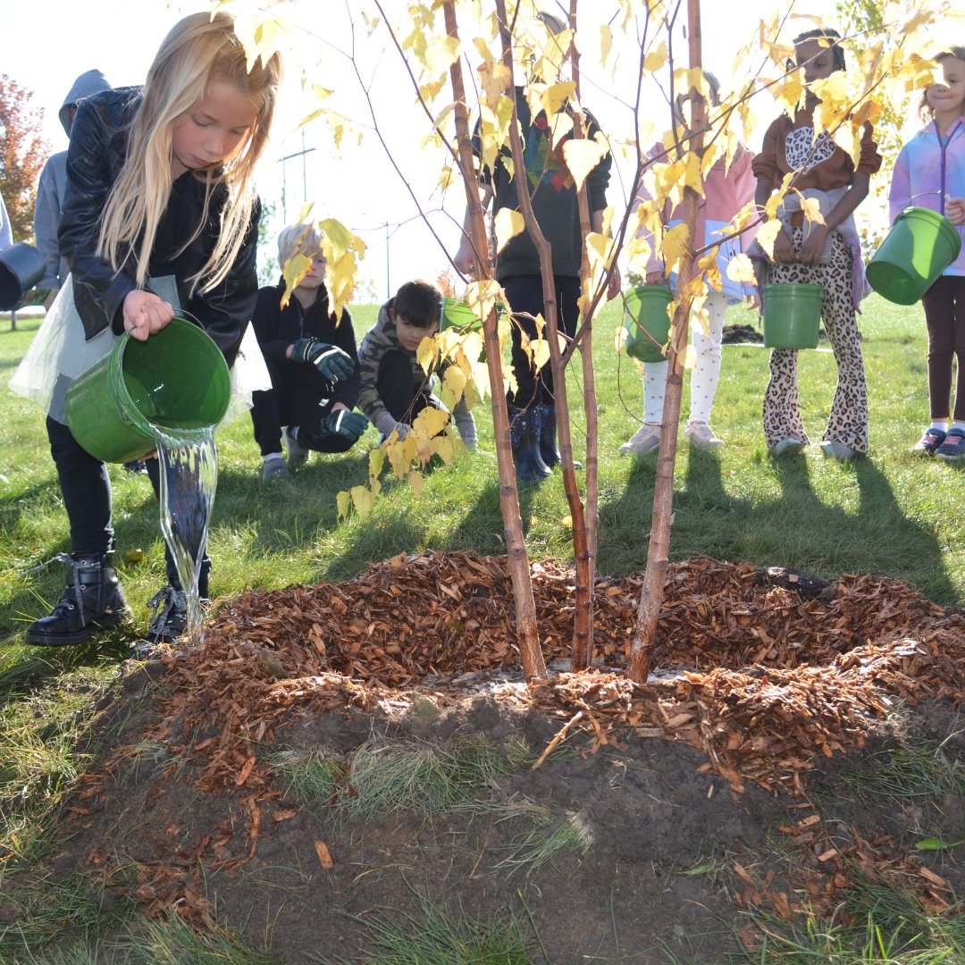 TreeTrust's tweet image. 🌳 Tree Trust and East Lake Elementary School are Learning with Trees! 
🌱 Every classroom has planted and named a tree, set to grow alongside the students. 📚
Huge thanks to Dakota Electric for supporting environmental education. 🙌 #LearningWithTrees @DakotaElec