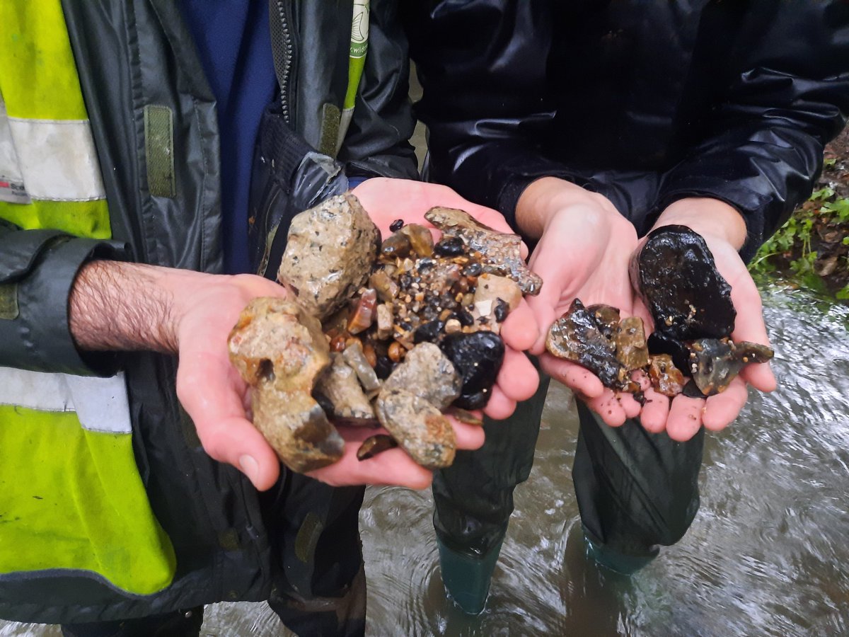 Rob Mungovan (@robmungovan) on Twitter photo Am pleased to report on successful gravel cleaning training given to <a href="/CamCurat/">CURAT: Cam Upper Reaches Action Team</a>. Fixed black gravel is now good for trout spawning. Water jets and leaf blowers used, just before Babet put an end to our day. Thx to <a href="/GreaterCambs/">Greater Cambridge Partnership</a> and Rob <a href="/camcitco/">Cambridge City Council</a> for funding. Next tree hinging. Am pleased to report on successful gravel cleaning training given to <a href="/CamCurat/">CURAT: Cam Upper Reaches Action Team</a>. Fixed black gravel is now good for trout spawning. Water jets and leaf blowers used, just before Babet put an end to our day. Thx to <a href="/GreaterCambs/">Greater Cambridge Partnership</a> and Rob <a href="/camcitco/">Cambridge City Council</a> for funding. Next tree hinging.