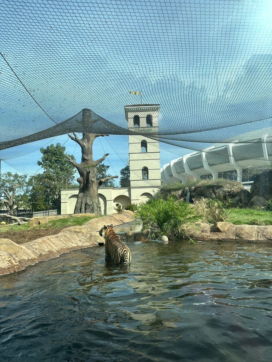 Still warm enough to be in my pool.