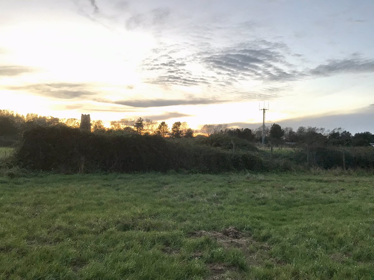 cortonbirds's tweet photo. What an evenings birding. Saw the Dusky Warbler on Lowestoft North Denes then raced up to Corton for the Siberian Stonechat in the fading light after a call from Rob Holmes. My 314th bird in the Lowestoft area and my 205th for the @patchbirding 10k list this year. https://t.co/fLxXi5WXA2