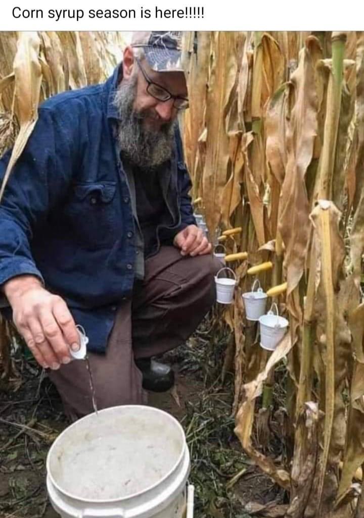 RealStacyTaylor's tweet photo. #FarmLife #funny #sorrynotsorry 
#corny
#momjoke https://t.co/w5lb0IOQ7f
