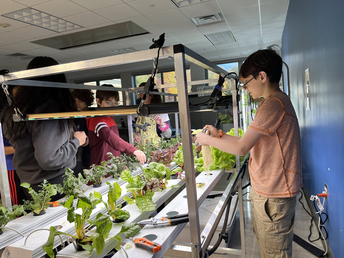 Jenny Gieras tweet media