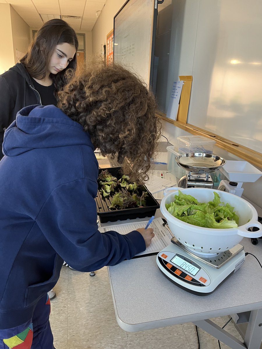 Jenny Gieras tweet media