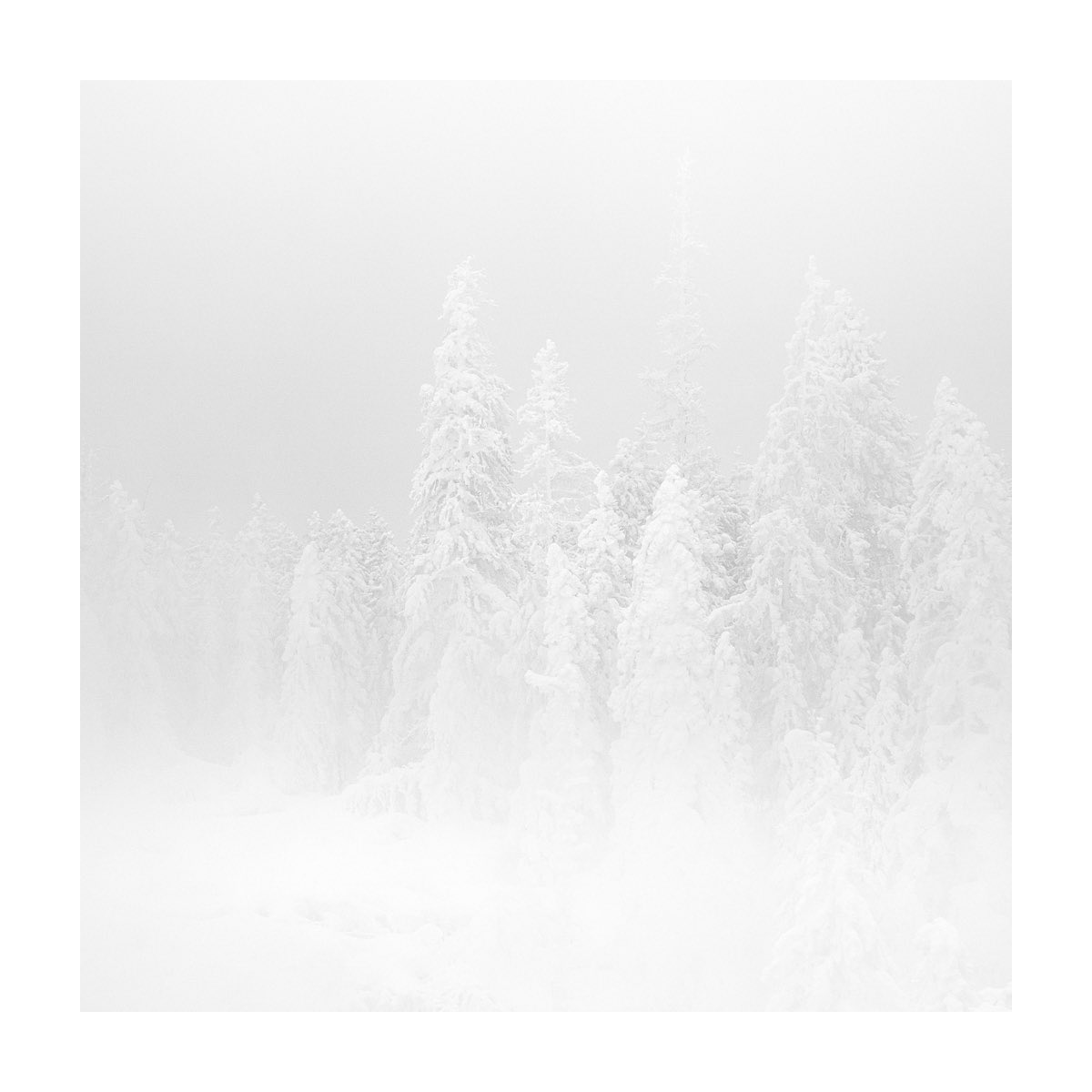 Arild Heitmann tweet media