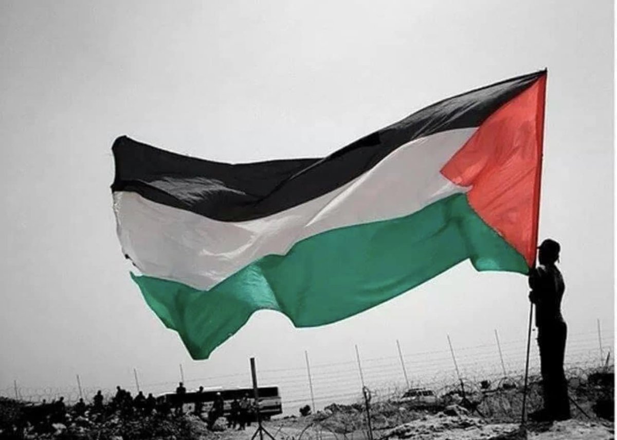 xyzveiws's tweet photo. If you support Palestinians Type 'YES' also retweet my post. https://t.co/vyd86quFxu