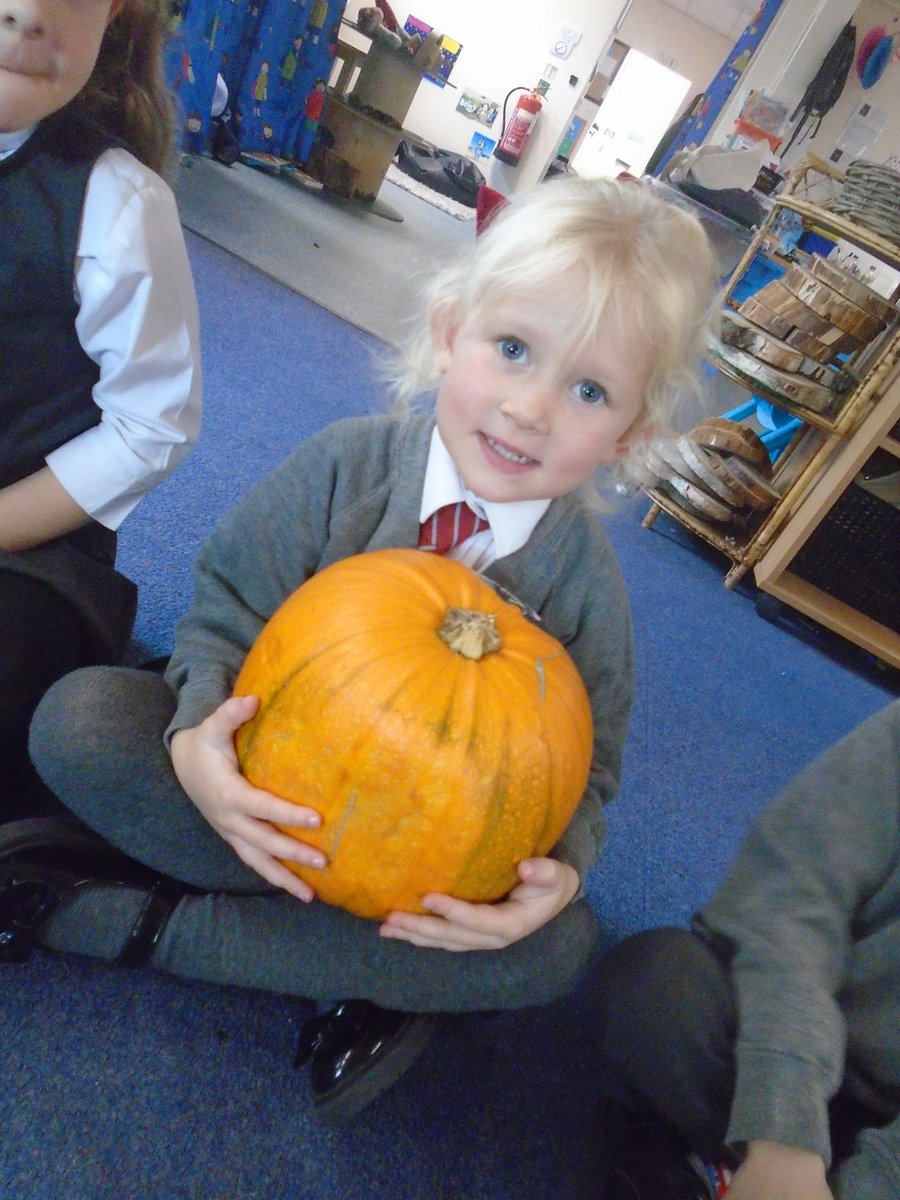 We have been looking closely at pumpkins in EYFS after reading the story of 'Pumpkin Soup'. We passed the pumpkin round to feel how heavy it was and to find out why the duck needed a wheelbarrow to move his pumpkin! <a href="/DawleyPrimary/">Dawley CE Primary</a>