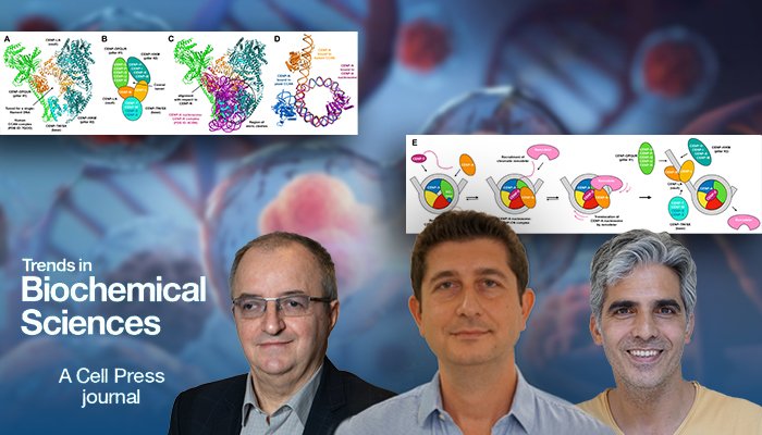 KaleLabBiophys's tweet photo. Kale lab is on the news!!! 🚨🚨🚨

See the article about "A new look at the molecular machinery of cell division"

Link is down below 👇
https://t.co/W1VUgO2PUc https://t.co/qk9AmuyuAr