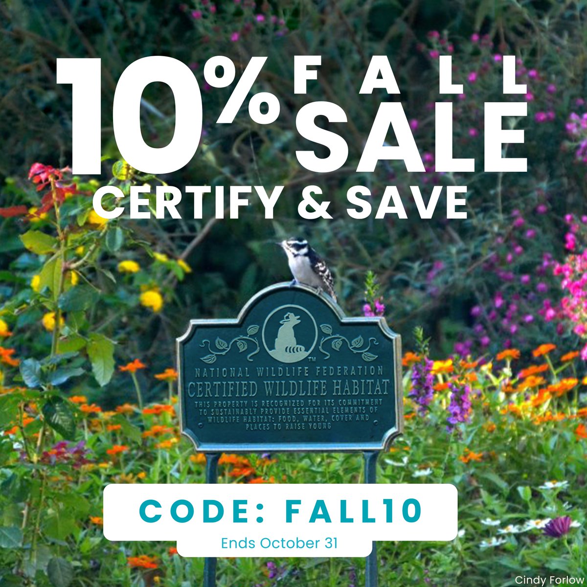 Fall is a terrific time to help wildlife! Create your Certified Wildlife Habitat. Help reach 300,000 Certified Wildlife Habitats in this 50th Anniversary Year! ✅

Use code FALL10 for 10% off when you certify &amp; purchase a sign by 10/31 📲: ow.ly/K3H150PT8cg