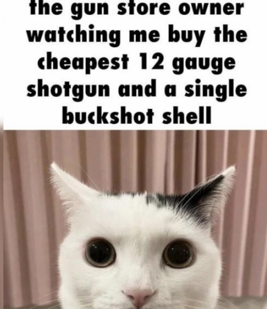 RealKeyFox's tweet image. fam u good? #meme #repost #dont