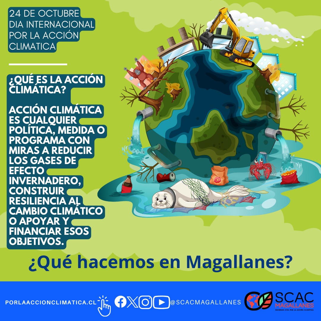 Hoy 24 de octubre se celebra el Día internacional por la acción climática ¿Qué acciones climáticas hacemos en la región de Magallanes?