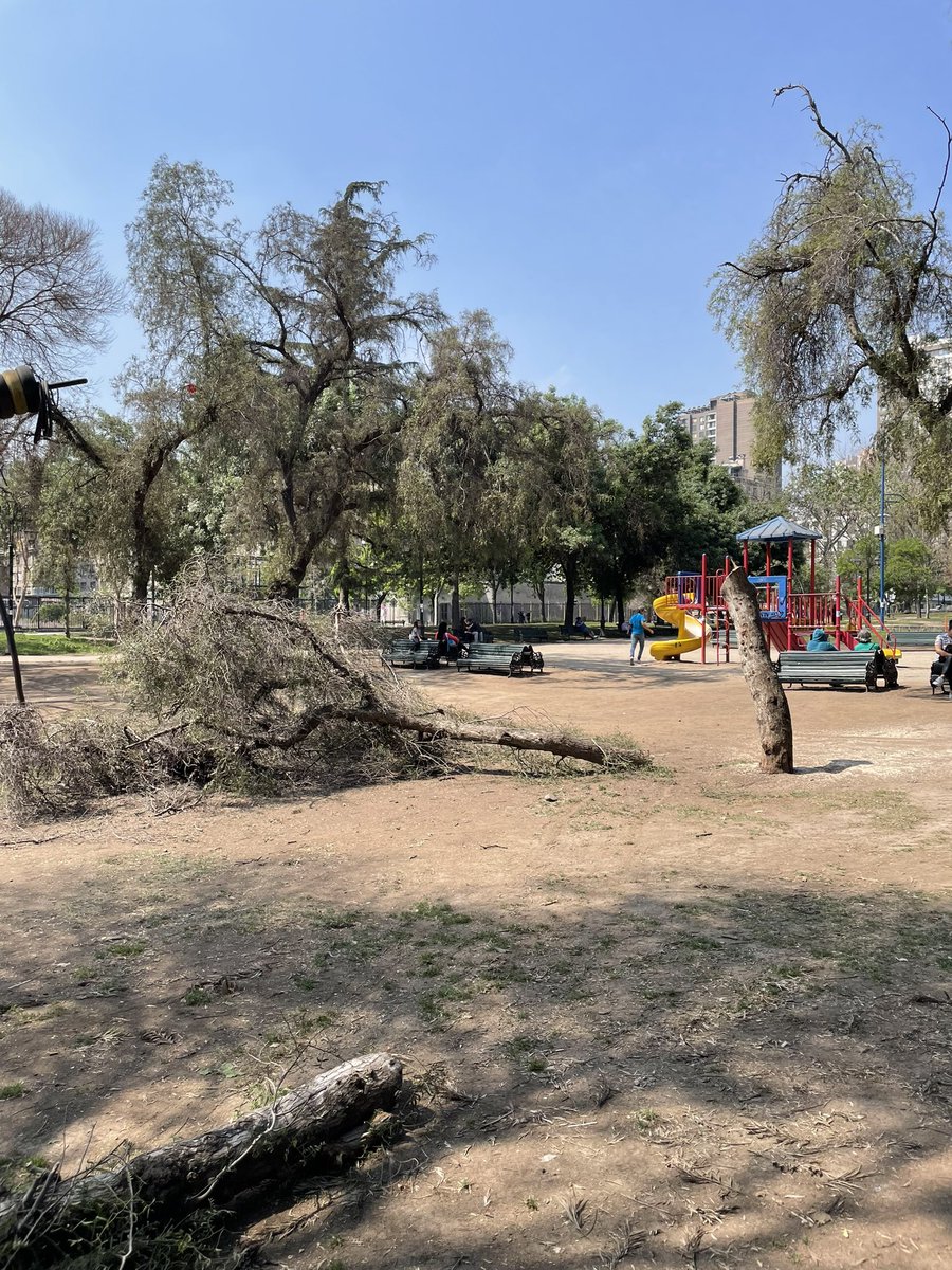 Soñamos con parques con vegetación para disminuir las islas de calor en Santiago centro y alguien asesina un árbol en Parque Almagro y nadie dice nada @Muni_Stgo @SantaIsabelStgo @ucentral_cl @Finarq_UCentral @ArbolCl @arboles_magicos @P_Arborizacion @Minvu