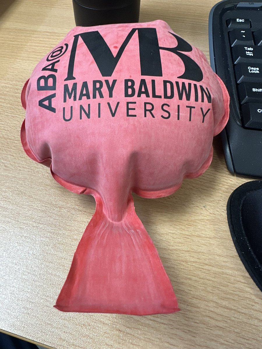 Ryan’s other job is an ABA prof at <a href="/MaryBaldwinU/">Mary Baldwin University</a> . They like to have fun at work apparently. 🤣 “fart jokes are uniquely behavioral”