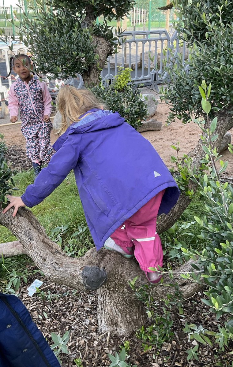 Mental Health and Wellbeing at Phoenix tweet media