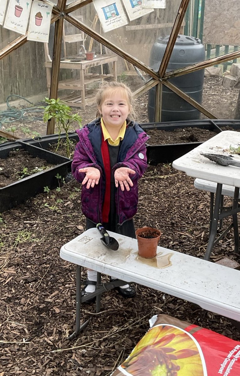 Mental Health and Wellbeing at Phoenix tweet media