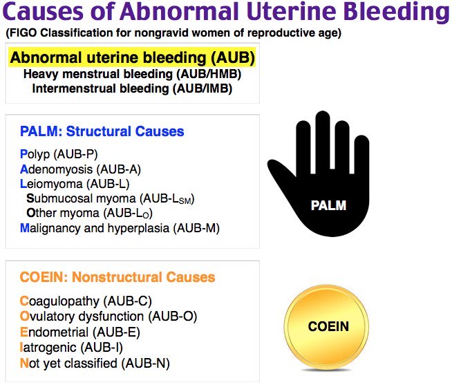 __mnemonics's tweet photo. ملخص لأسباب نزيف الرحم الغير طبيعي في كلمتين فقط! 😍
 
🟡 PALM ✋ 
🟡 Coein 🪙 

Causes of Abnormal Uterine Bleeding ; 

#obygyn https://t.co/qnnURXDEvq
