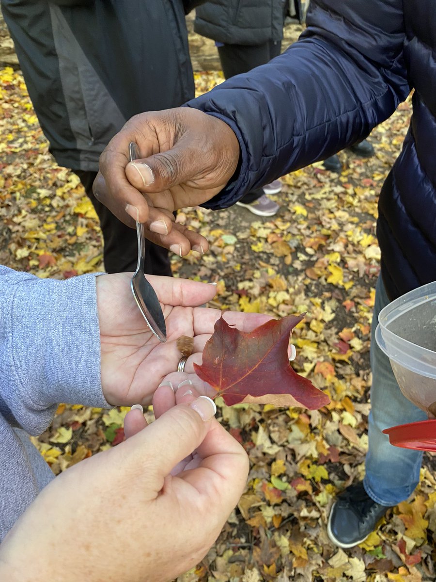Leadership Meeting at Forest Valley for LN 11.  Communication,  team work,  support culture and learning to slow our thinking and actions were where we invested our focus for todays learning.  <a href="/LN11/">Lnn</a> @TDSB <a href="/Equity48/">Kurt McIntosh</a>