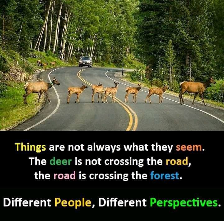 Different human, different perspective
#Gaza_Genocide 
#WWERaw 
#SenzoMeyiwa #environnement  #ClimateCatastrophe