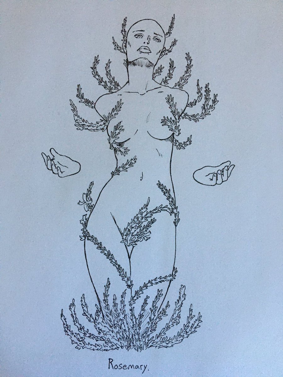 Playing catch up 
Day 21 Rosemary