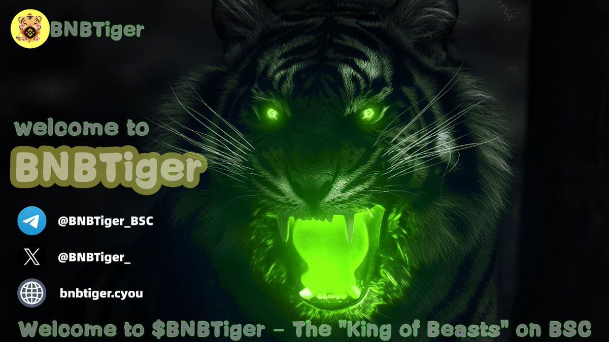 BNBTiger (@BNBTiger_) / Posts / X