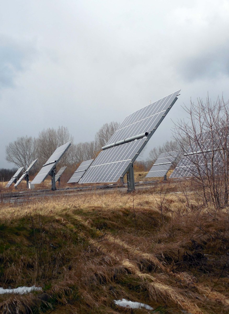 Solar with Sully tweet media