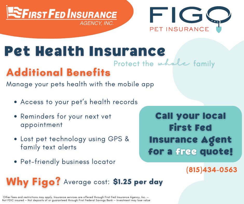 ffinsure's tweet photo. Did you know First Fed Insurance offers pet health insurance?
Protect the WHOLE family! Contact your local First Fed Insurance agent for a free quote!⬇️
https://t.co/FTkXteQtkx https://t.co/NIoXjBSgJk