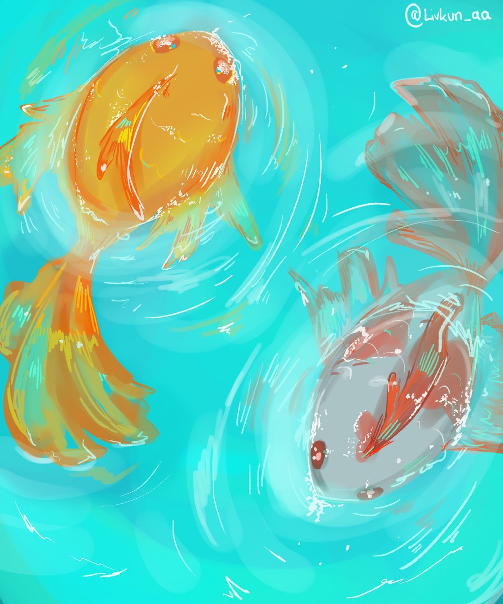 Livkun_aa's tweet photo. Fishies 🩷

Looking for more #artmoots and people for my taglist! https://t.co/3HlKL1tJHi
