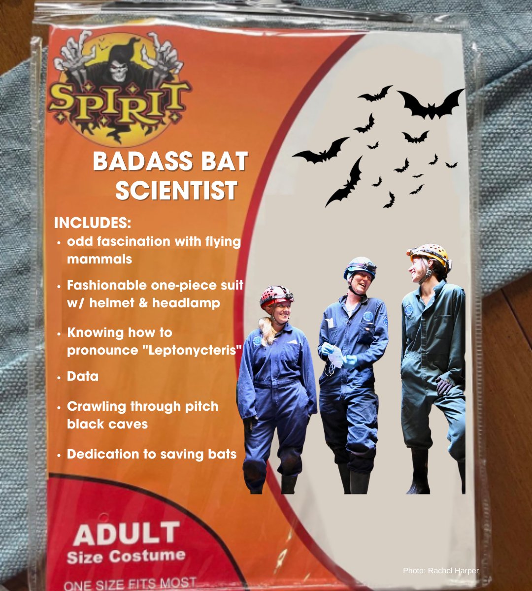 BatConIntl's tweet photo. Are we doing these again this year? 
#Hallowmeme https://t.co/9Cm6k0iHSx
