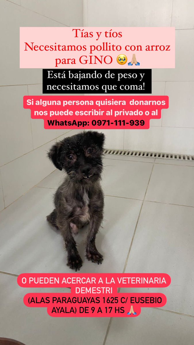Ayuda por favor 🥺🥺
