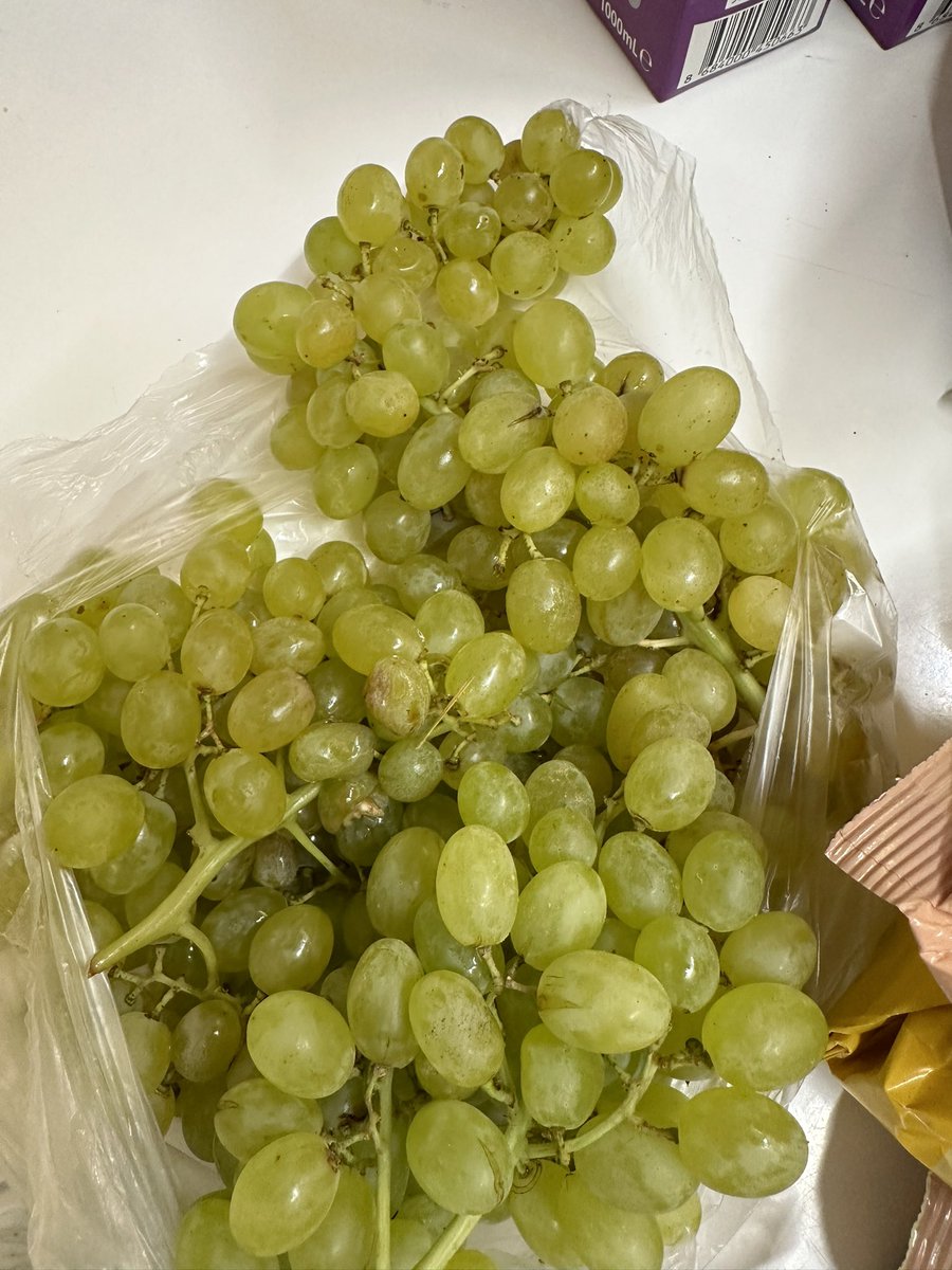 Kiloso 49,90 tl ye üzüm alıyorum ve gelen üzüm bu şekilde. Migrostan meyve sebze alırken niye yine mi kötü gelecek diye düşünmek zorunda kalıyorum? <a href="/MSanalMarket/">Migros Sanal Market</a> <a href="/Migros_Turkiye/">Migros Türkiye</a>