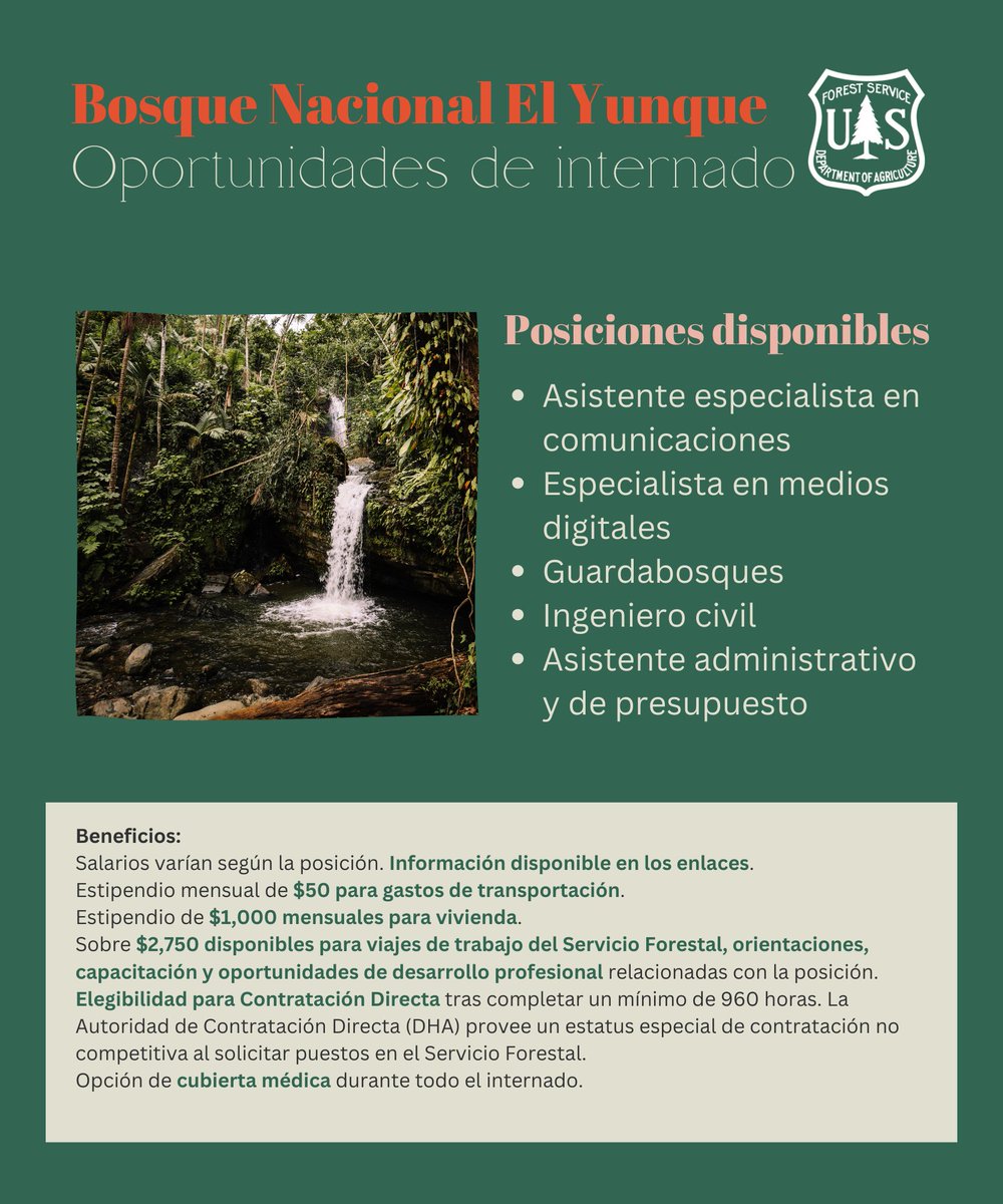 El Yunque NF tweet media