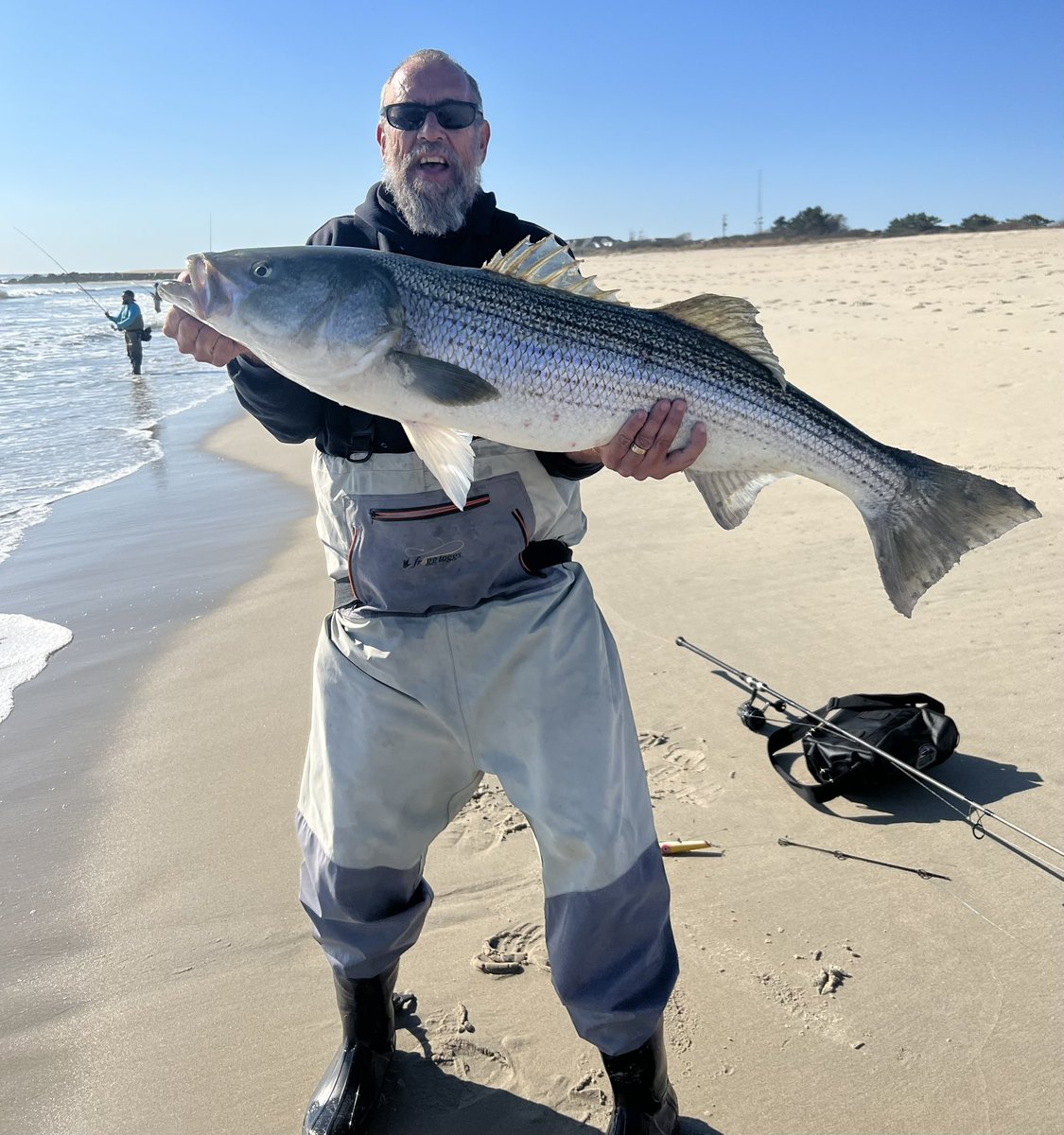 DenoSmith's tweet photo. 50 inch striped bass #Striper #Striperfishing @GibbsLures #VanStaalReels #CenturyRods #NJFishing https://t.co/dNJs01sGai