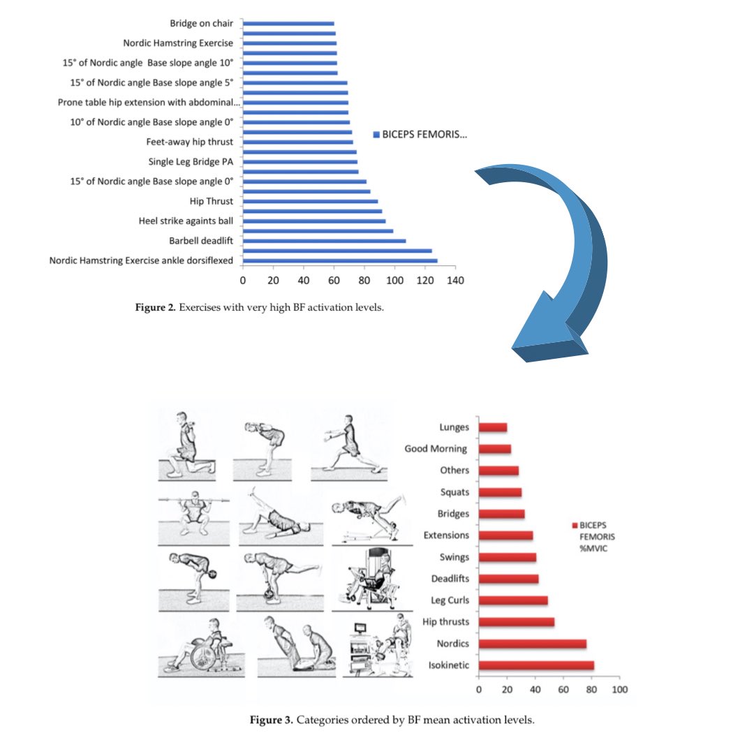 TheHipPhysio's tweet photo. Biceps Femoris Activation during Hamstring Strength Exercises: A Systematic Review
  
Luis Llurda-Almuzara  et al 2021 https://t.co/ICxMeo4mgp