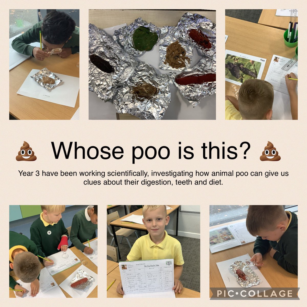 #HardwickgreenPA #Hardwickscience