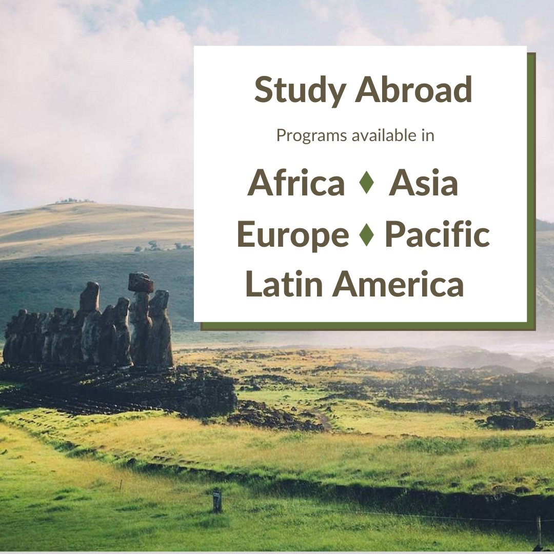 UMKCstudyabroad's tweet photo. As a UMKC student, you have access to over 150 programs across the globe. Attend an info session (Tuesdays and Fridays from 2-3pm) and schedule an appointment with an advisor to find out which locations fit your degree program. 

Register on Roo Groups 🌏🦘 https://t.co/bUiGRPtxgX