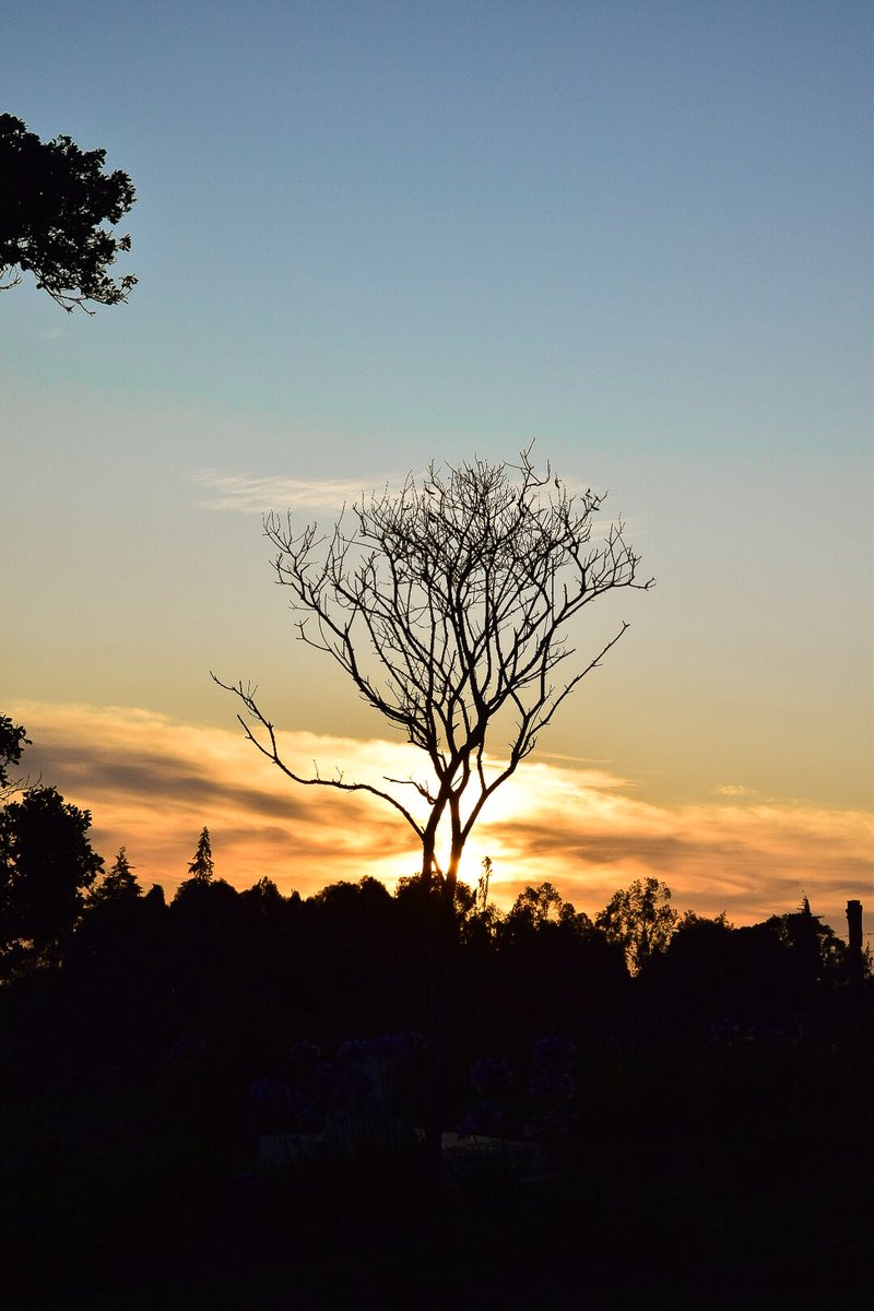 Never look back at what has happened in the past,  program your mind to keep moving forward no matter the stumbling on your way.
#motivation #Trending #today #fyp #alive