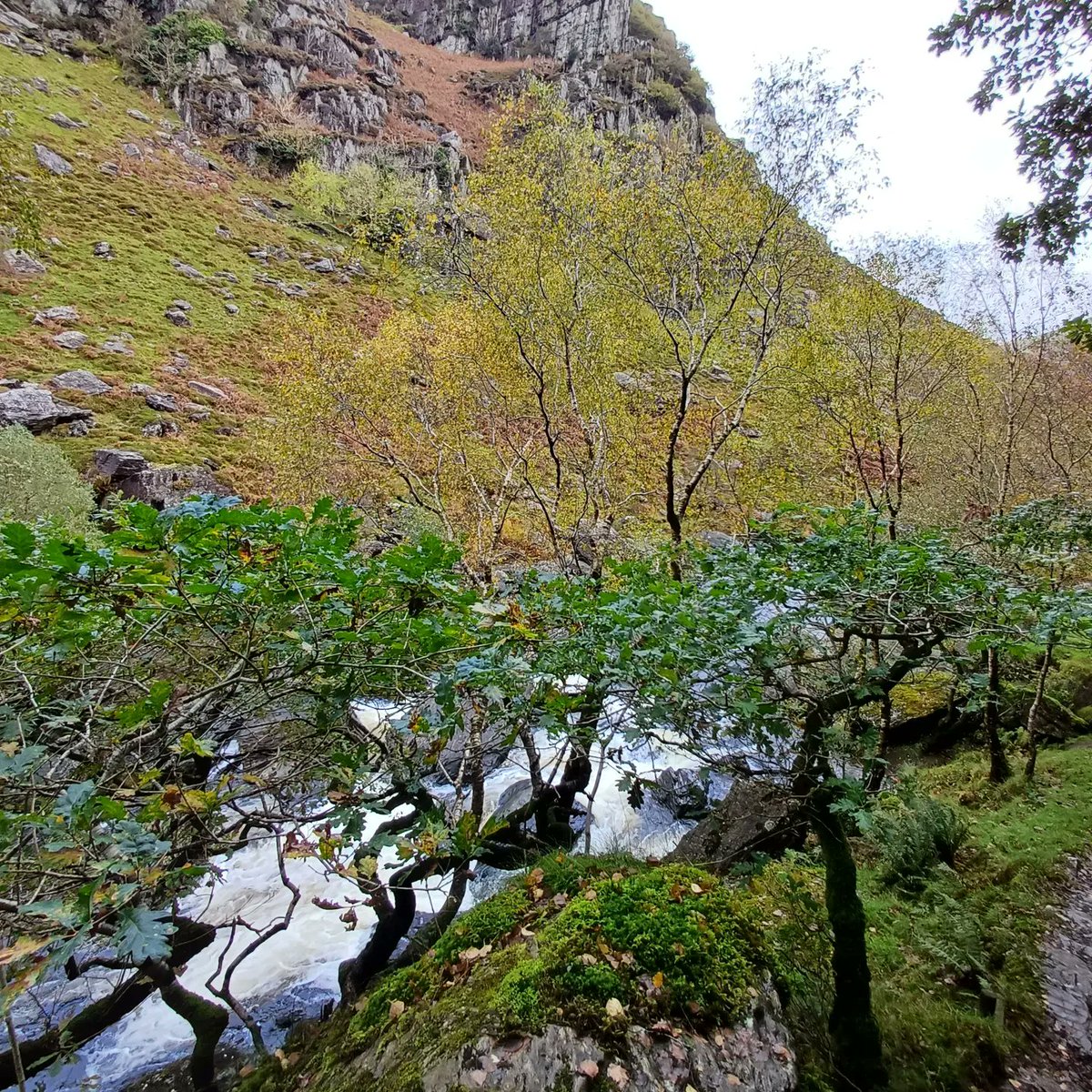KattyMorgan1's tweet photo. Wales on Autumn....beautiful https://t.co/aGaZxMTnMz