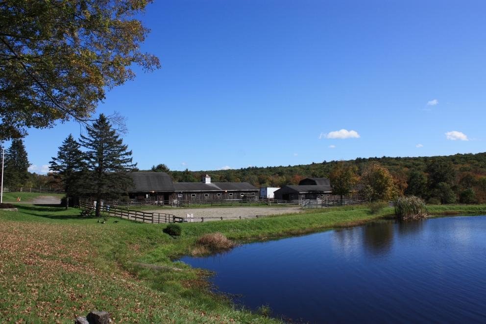 maxspann's tweet photo. Passaic County “Secluded Acres Farm” is set for November Auction https://t.co/2Jia65BF2V via @ein_news https://t.co/EGWrxwACsY